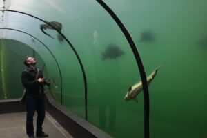 Pololetní prázdniny na&nbsp;Slovácku: tipy, kam vyrazit s&nbsp;dětmi FOTO