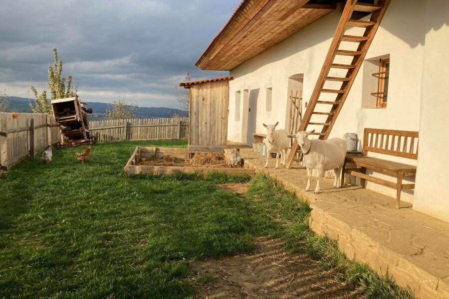 Skanzen Rochus FOTO