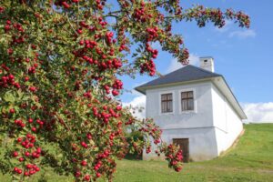 Park a skanzen Rochus_vinařský domek z Tučap