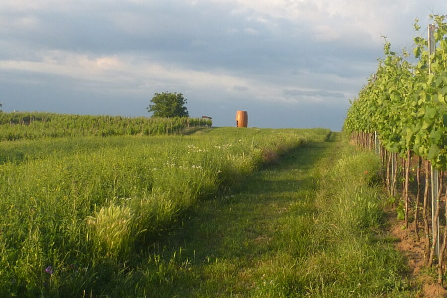 Vyhlídka Soudek, Šardice FOTO