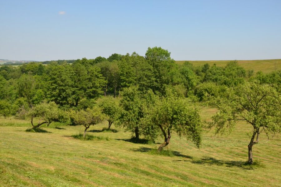 Naučná stezka „Maršovská“ FOTO