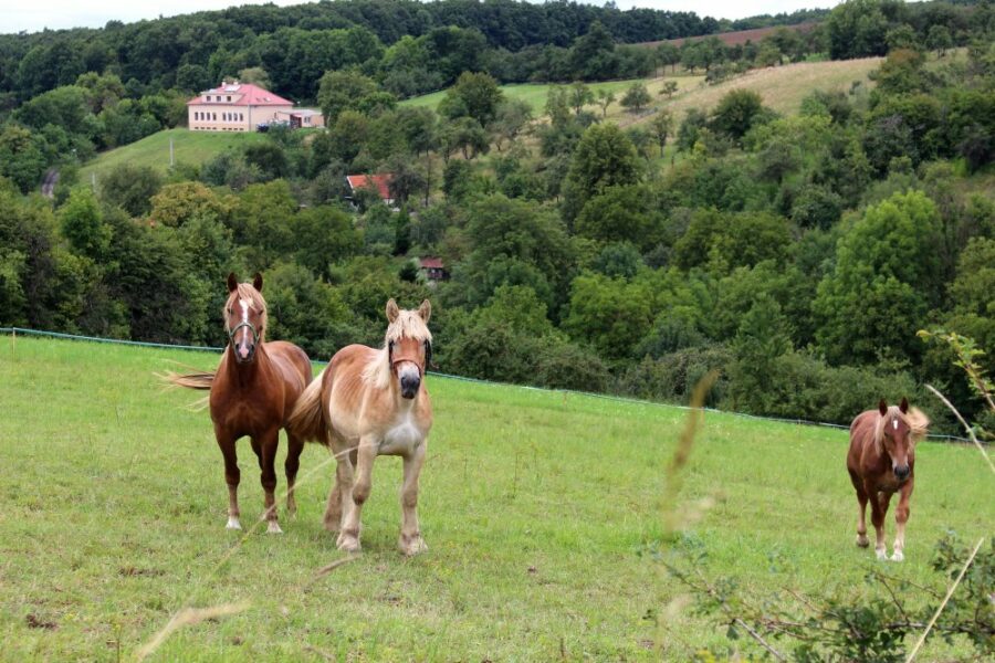 Naučná stezka „Maršovská“ FOTO