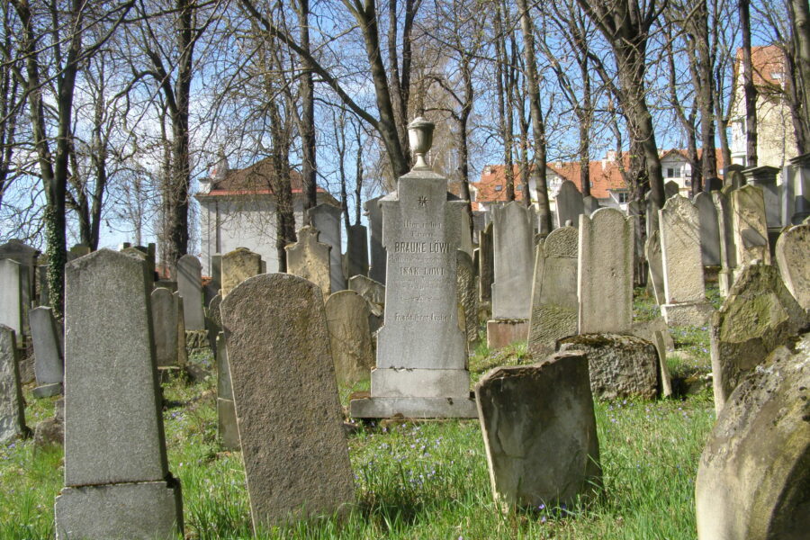 Nový židovský hřbitov FOTO