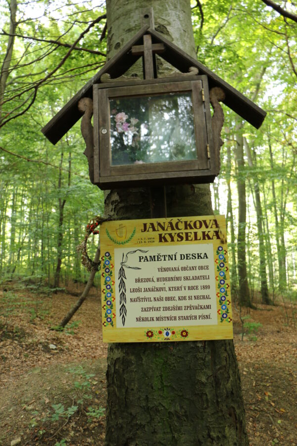 Janáčkova kyselka
