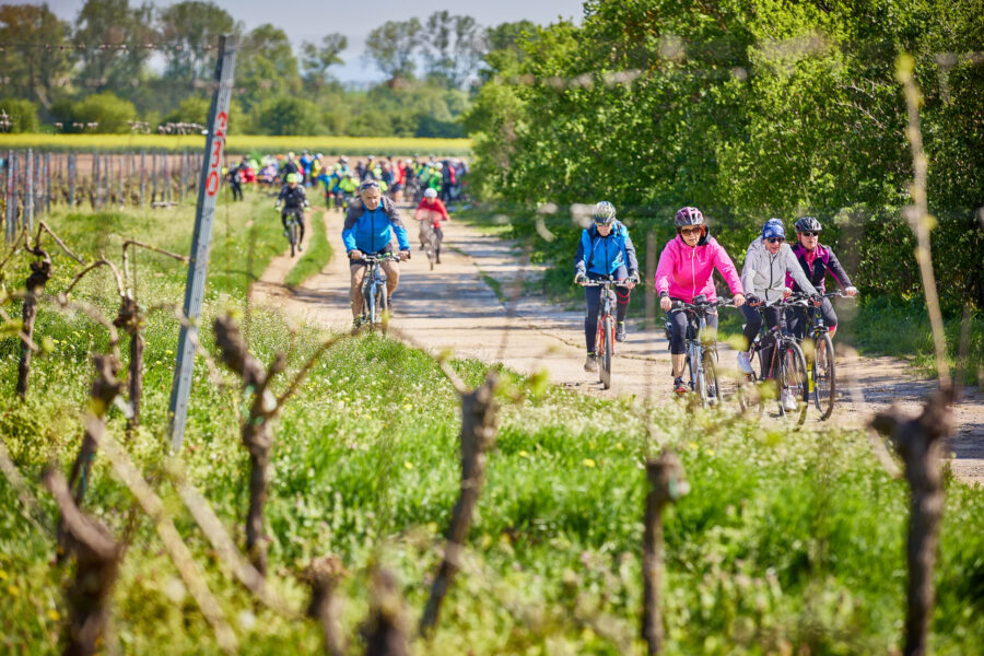 Stezka Muškátu moravského FOTO