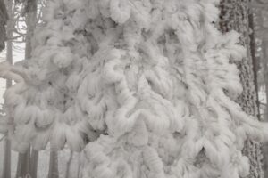 Bílé Karpaty přikryla bílá peřinka FOTO