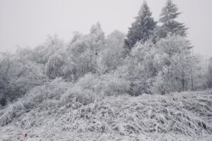 Bílé Karpaty přikryla bílá peřinka FOTO