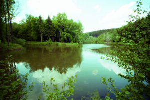 Chvalkovský rybník Modrá