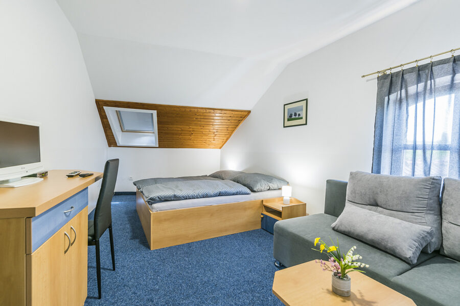 HOTEL SAVARY Nivnice FOTO