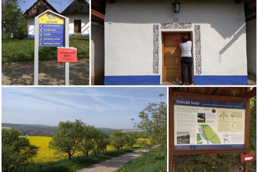 Stezka Ryzlinku rýnského – Královská FOTO