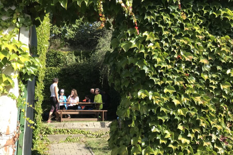 Stezka Ryzlinku rýnského – Královská FOTO