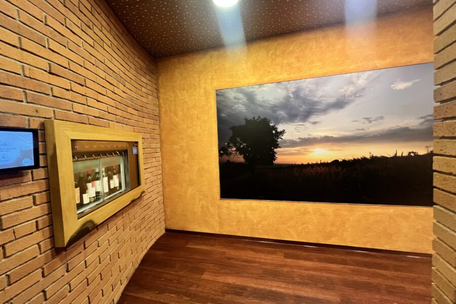 Víkend s vínem v Hotelu Skanzen Modrá FOTO