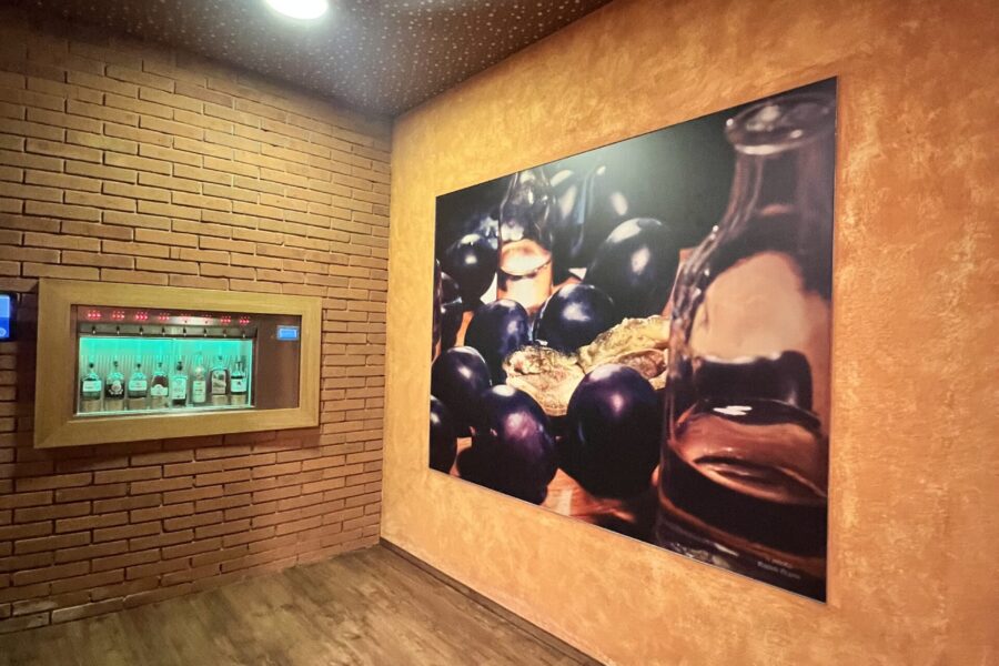 Víkend s vínem v Hotelu Skanzen Modrá FOTO