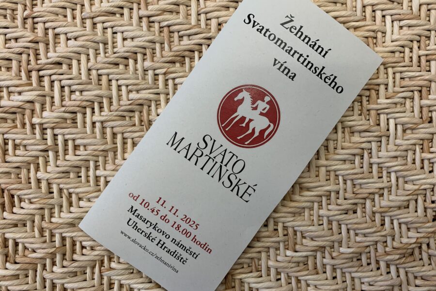 Vstupné bez skleničky i čipu (již mám čip i skleničku z loňska)