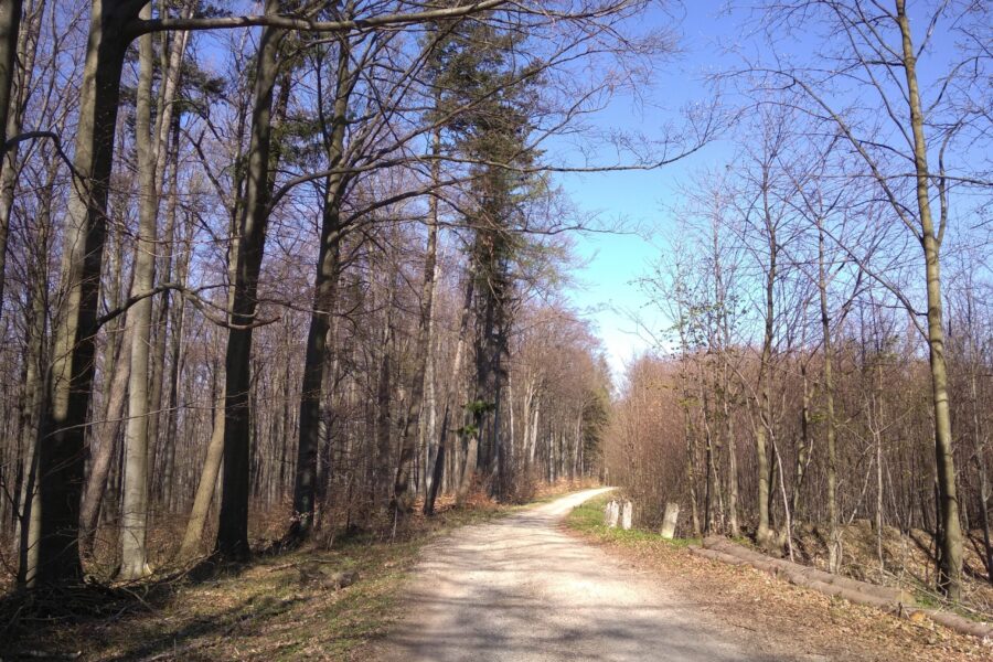 Výstup na nejvyšší vrchol Bílých Karpat FOTO