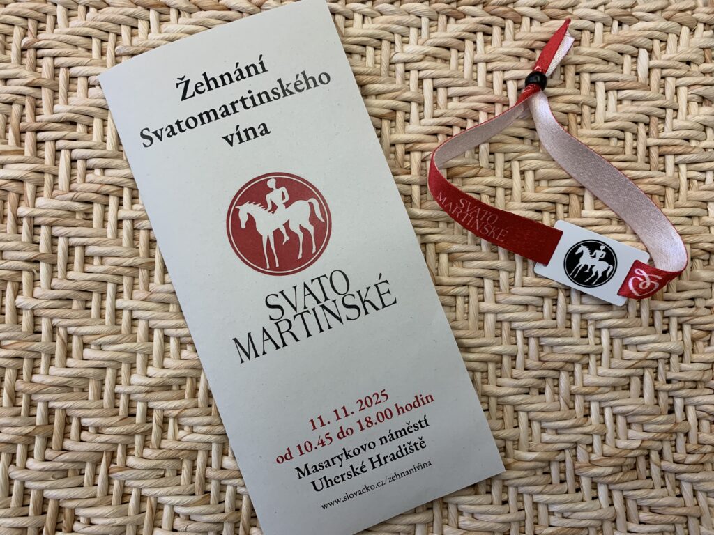 Vstupné s čipem (již mám skleničku z loňska)