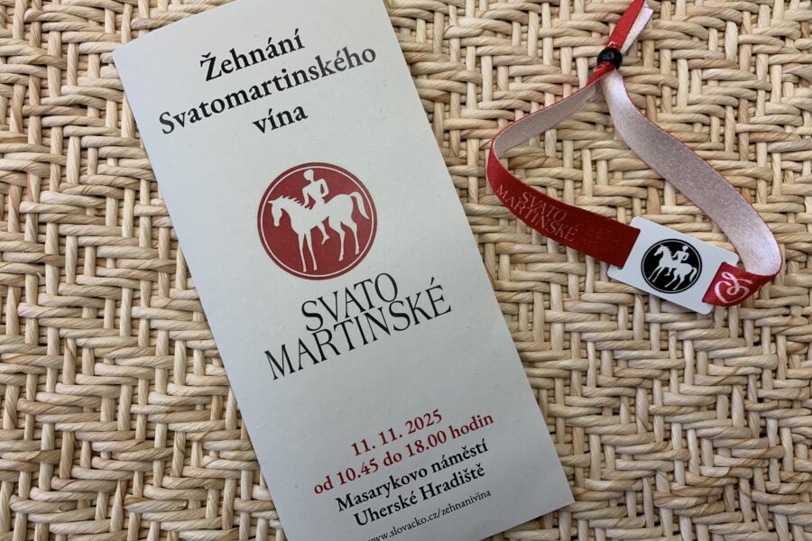 Vstupné s čipem (již mám skleničku z loňska)