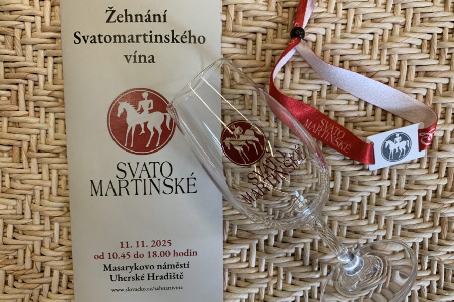 Vstupné se&nbsp;skleničkou a&nbsp;čipem