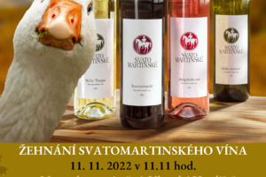 Letos ochutnáme takřka 70 Svatomartinských a mladých vín FOTO
