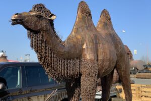 Pololetní prázdniny na&nbsp;Slovácku: tipy, kam vyrazit s&nbsp;dětmi FOTO