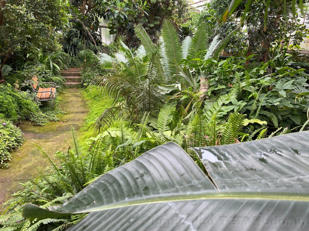 Komentovaná prohlídka botanické zahrady