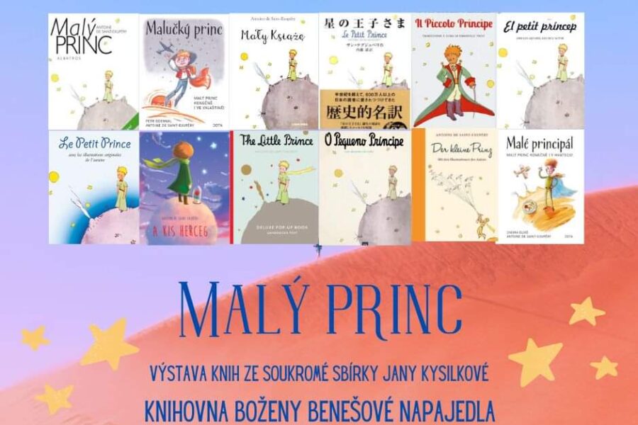 Malý princ – výstava knih