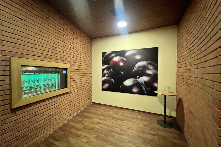 Degustační pálenková stezka na&nbsp;Skanzenu FOTO