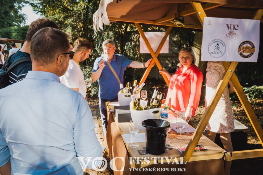 Festival VOC vín FOTO