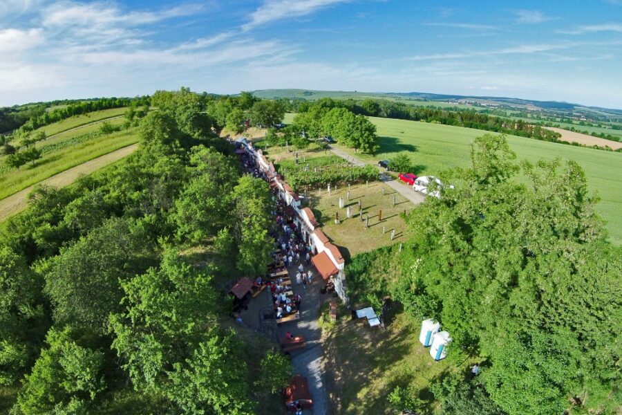 Kudlovický vinný žleb FOTO