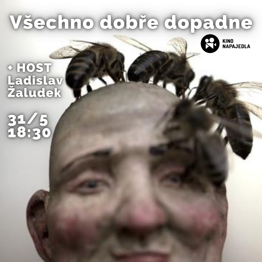 Dokument: Všechno dobře dopadne + HOST Ladislav Žaludek