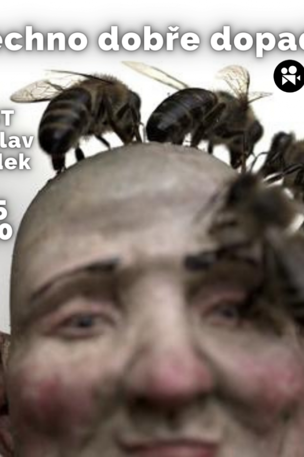 Dokument: Všechno dobře dopadne + HOST Ladislav Žaludek