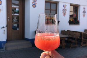 Burčákových akcí přibývá: Pochody, vinobraní i&nbsp;ochutnávky FOTO