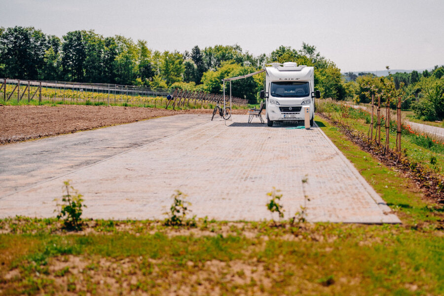 Velehradské vinice FOTO