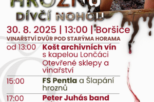 10. 8. 2024.pdf