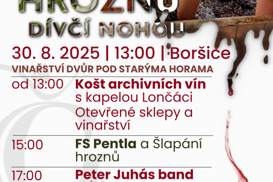 Šlapání hroznů dívčí nohou FOTO