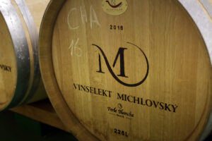 VinselektMichlovsky