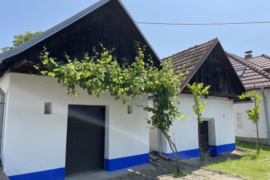 Degustace ve vinařství Staňkovi FOTO