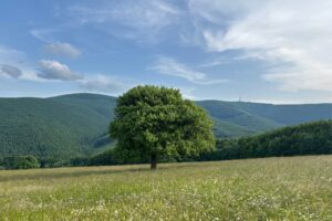 Nová turistická trasa ze Strání propojuje výhledy, louky a hřebenovou červenou značku FOTO