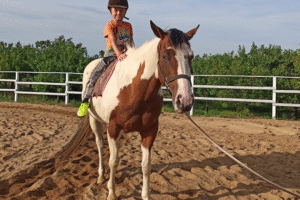 BM-soc.-site-zmenseno