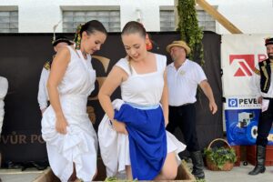 Blíží se doba vinobraní – Slovácko ožije vinařskými slavnostmi FOTO