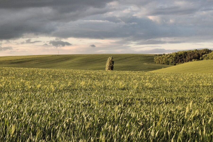 O nejkrásnější fotku Moravského Toskánska FOTO