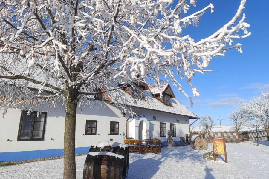 Zimní zvěřinové hody FOTO