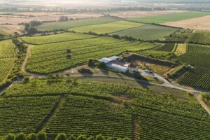 dji_fly_20250703_060718_0727_1751516209041_photo_11zon