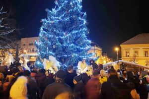 20231205_175550_2_11zon