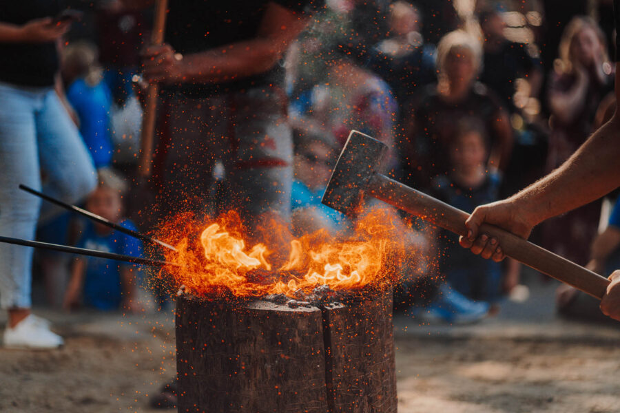 UMĚNÍ a ŘEMESLO v KOVOZOO FOTO