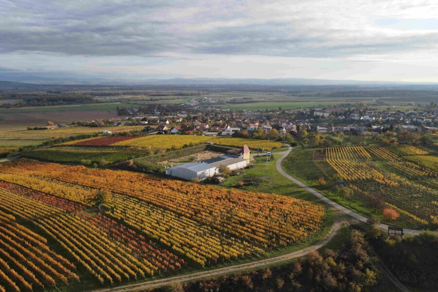 Penzion Hala – Vinařství Vaďura FOTO