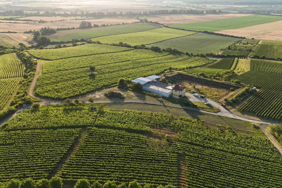 Penzion Hala – Vinařství Vaďura FOTO