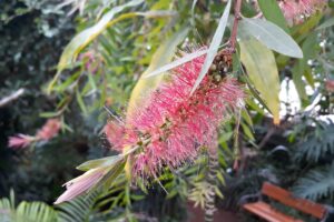 Tereza Ramba v novém filmu Cukrkandl ukazuje krásu opomíjeného skvostu Hodonína FOTO