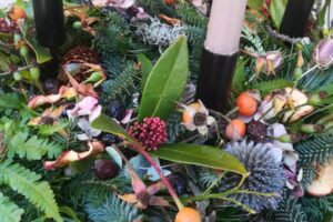 494683330_1225141632949483_2137838333329947801_n