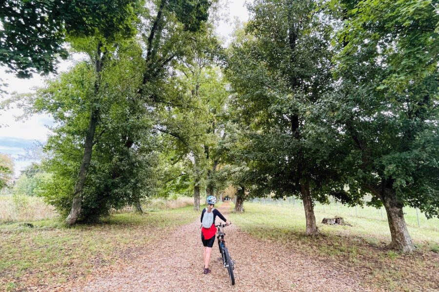 Za vínem do&nbsp;nejsevernějších vinařských obcí Slovácka FOTO